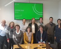 Consorcio del proyecto CHRONIC PAIN