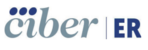 CIBER de Enfermedades Raras (CIBERER)