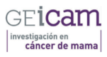 Grupo Español de Investigación en Cáncer de Mama (GEICAM)