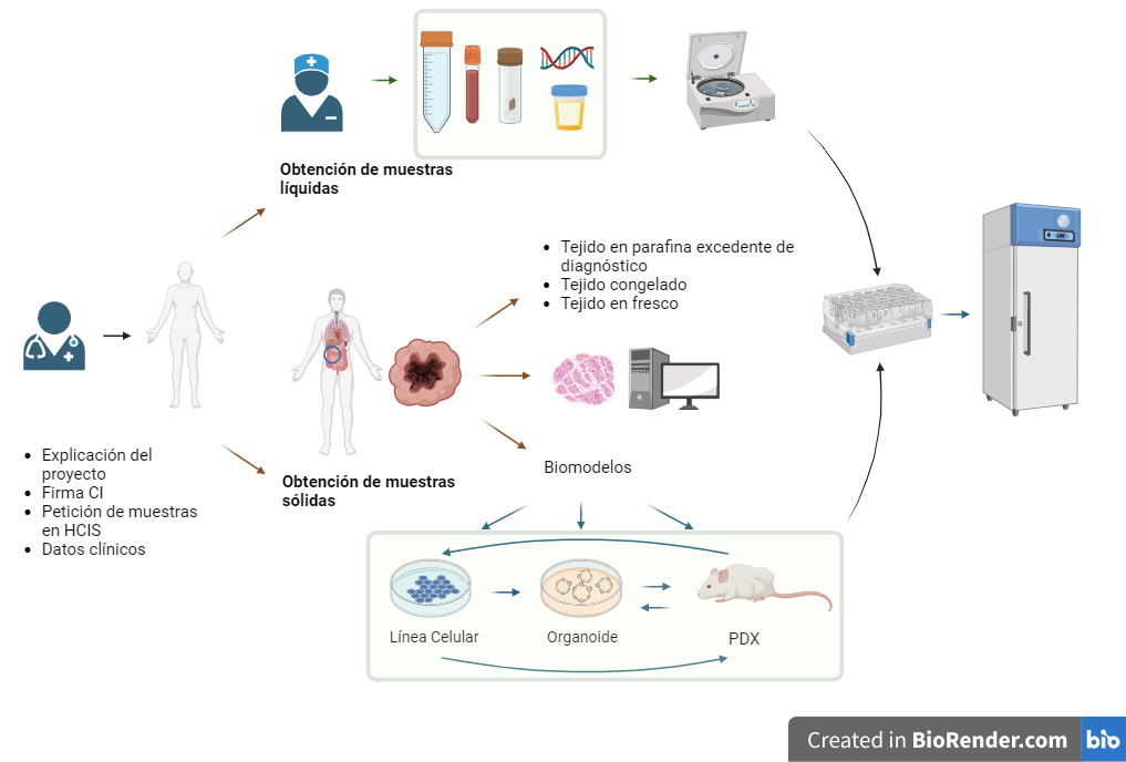 Image of the biobank collections circuit