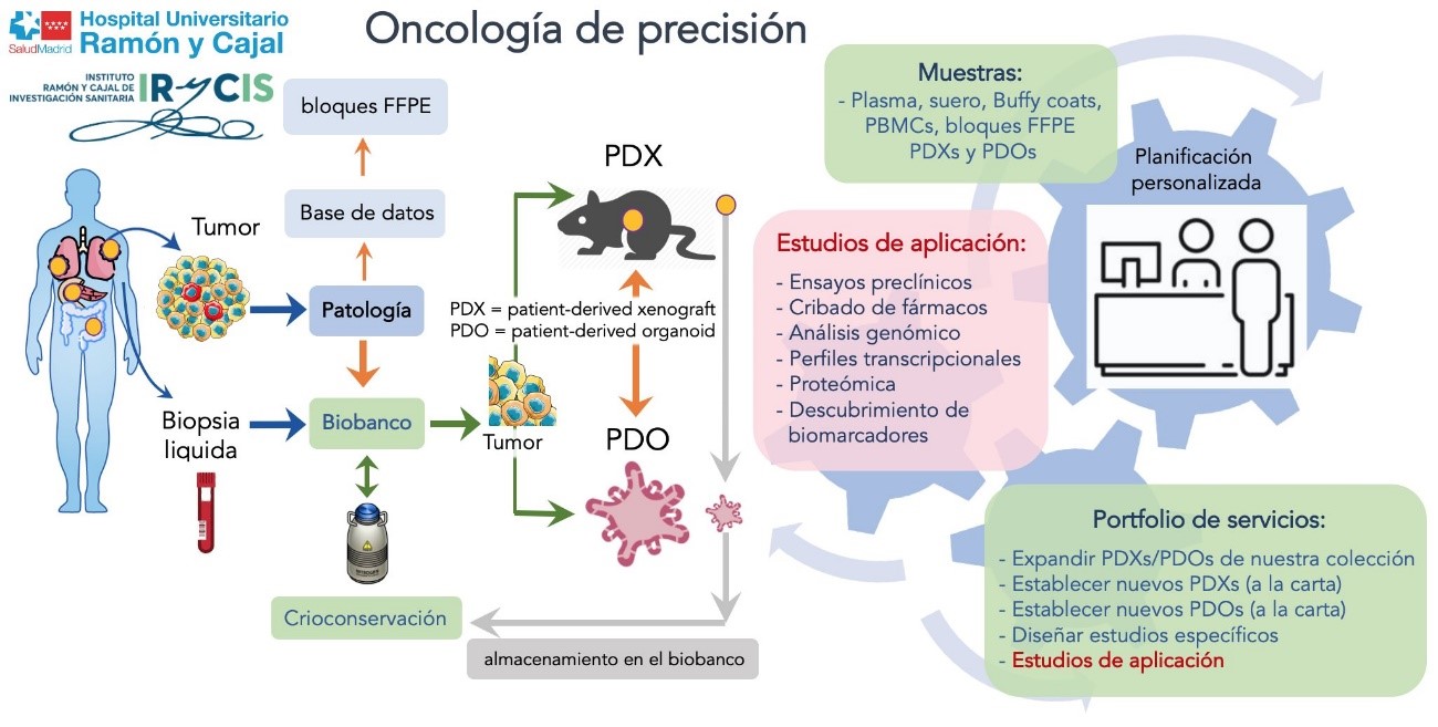 Infografía sobre el proceso de generación de un PDX